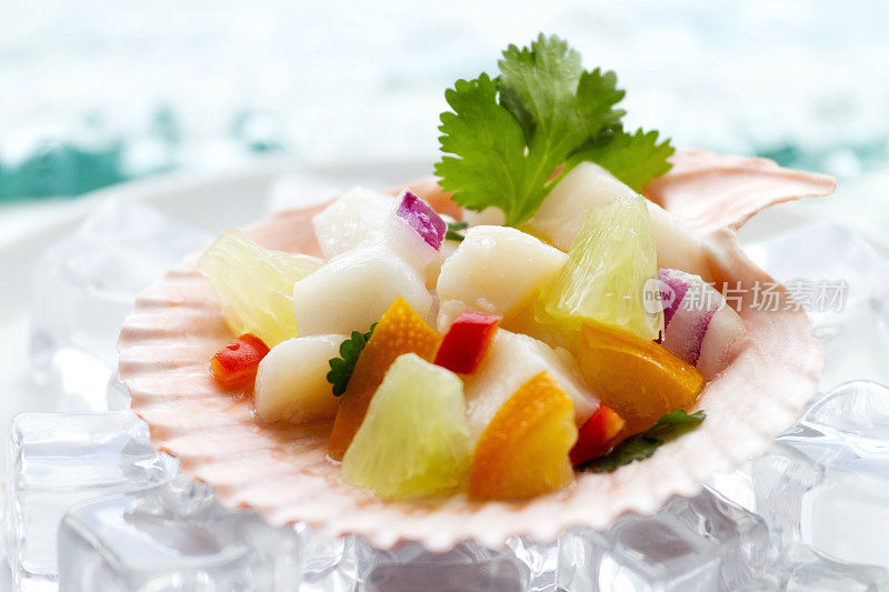 Scallop Ceviche in a Seashell重复图片